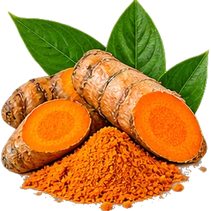 Экстракт куркумы